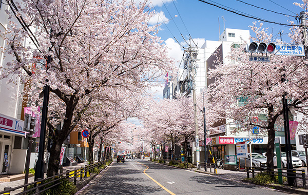 「藤が丘」駅周辺image photo