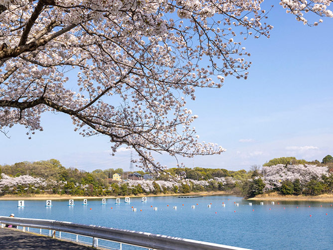 三好公園
