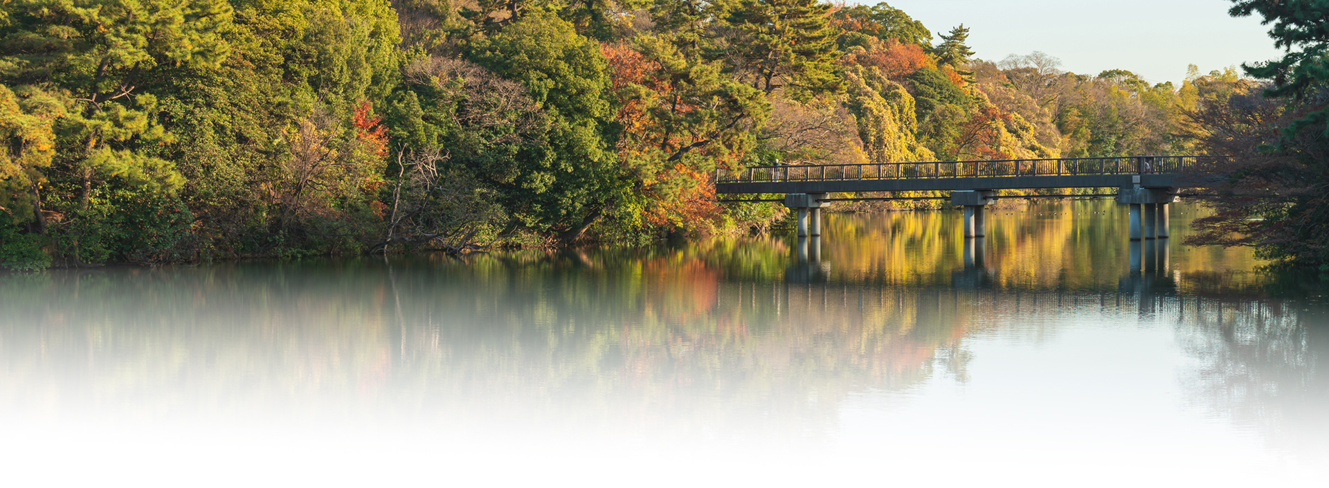 聚楽園公園 image photo