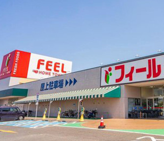 フィールホームタウン